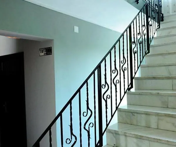 Calla Констанца